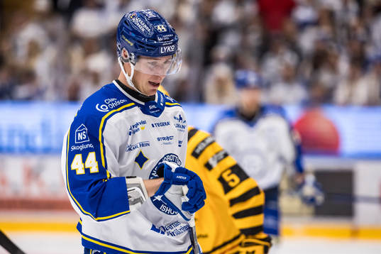 Leksands Carter Ashton