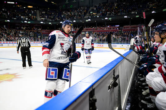 Linköpings Markus Ljungh deppar