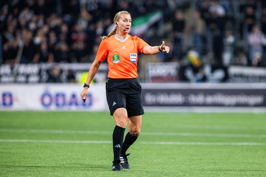 Domare Tess Olofsson