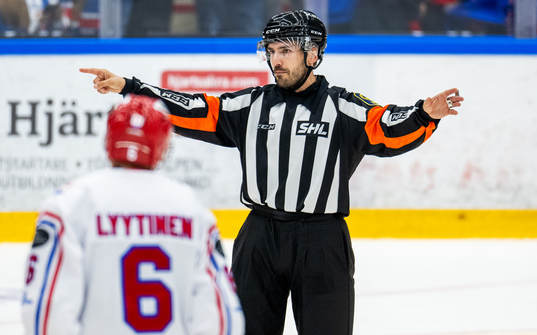 Domare Mattias Enroth