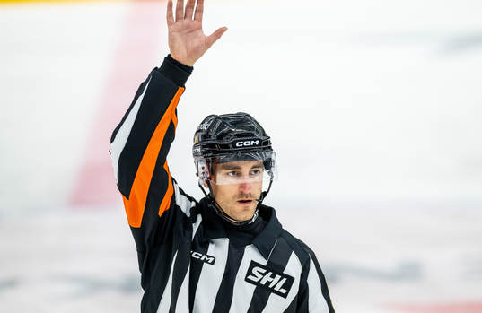Domare Kristoffer Folkstrand