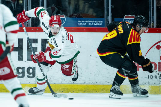 Moras Ludvig Levinsson och Brynäs Tyler Kelleher