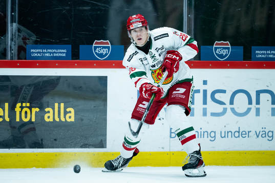 Moras Michael Brandsegg-Nygård