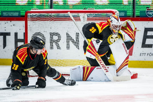 Brynäs Anders Lindbäck