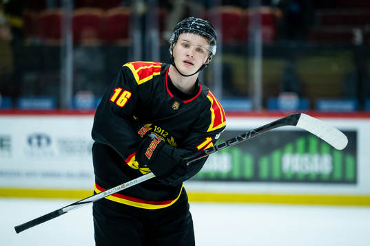 Brynäs Jonathan Karlsson