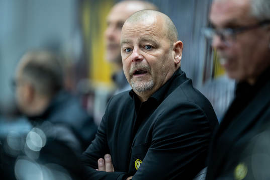 Brynäs huvudtränare Niklas Gällstedt