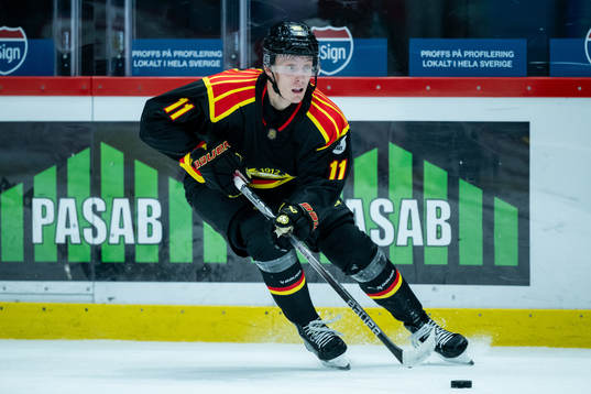Brynäs Oliver Tärnström