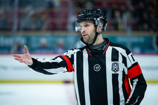 Domare Niklas Johansson