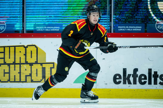 Brynäs Anton Johannesson
