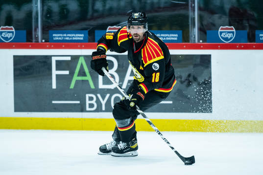 Brynäs Anton Rödin