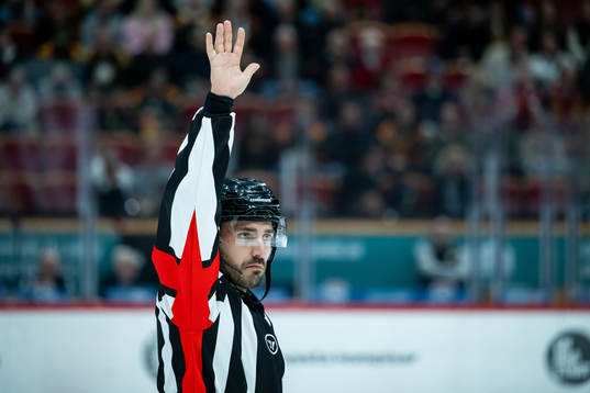 Domare Mattias Enroth