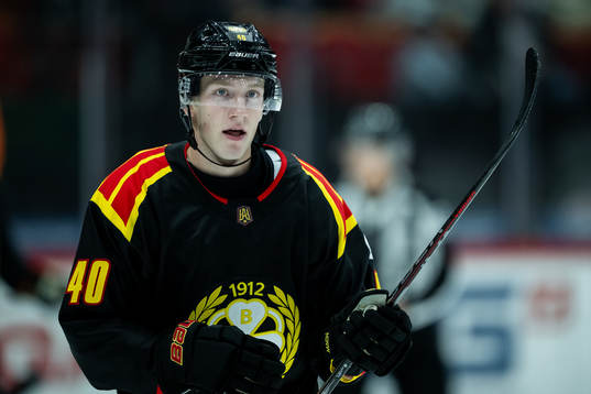 Brynäs Anton Ohlsson