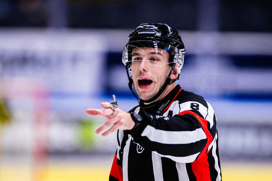 Domare Oscar Niklasson