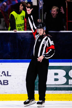 Domare Oscar Niklasson