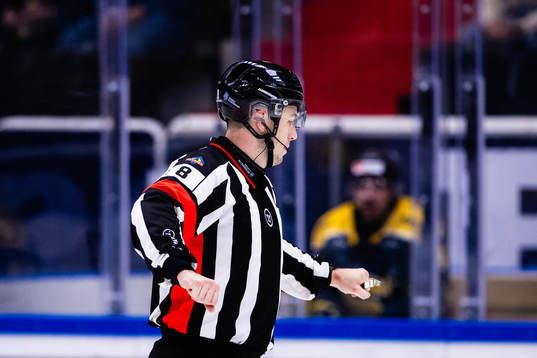 Domare Oscar Niklasson