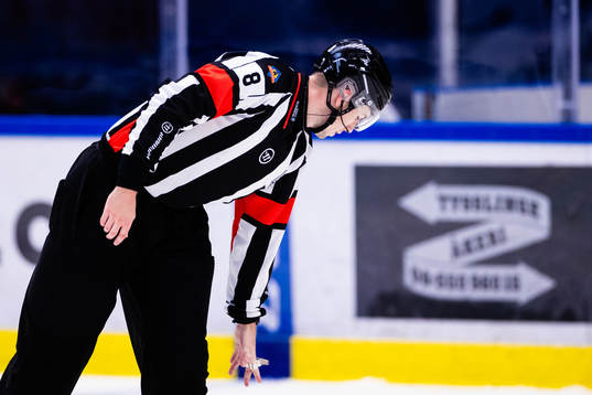 Domare Oscar Niklasson
