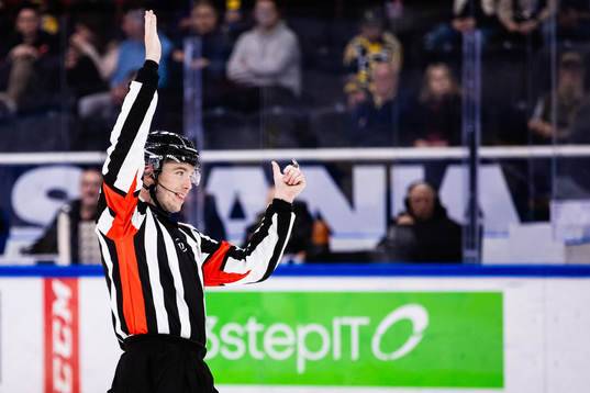 Domare Oscar Niklasson