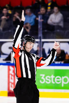 Domare Oscar Niklasson