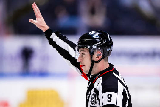 Domare Oscar Niklasson