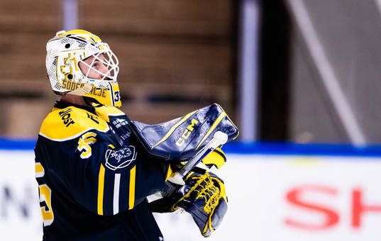 Södertäljes målvakt Tomas Sholl