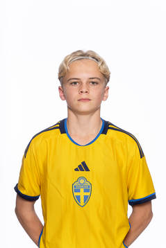 Alfred Johansson