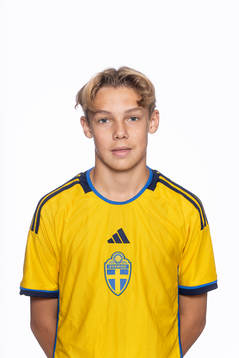 Ludvig Andersson