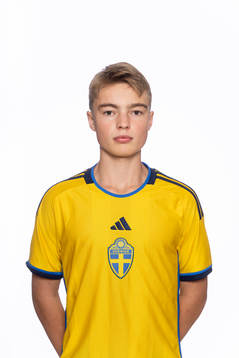 Hugo Stenberg