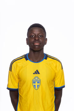 Bläddra bland fler bilder av Fotboll, Sverige, P15, porträtt