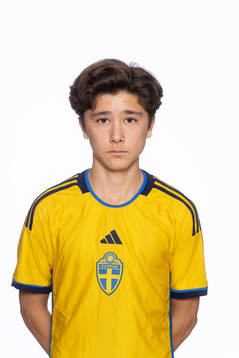 Vincent Larsson