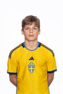 Hjalmar Skarander