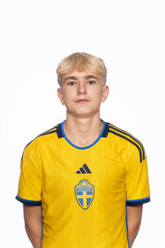 Hannes Hyllenbom