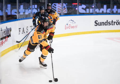 Under ishockeymatchen i SDHL mellan Djurgården och Luleå