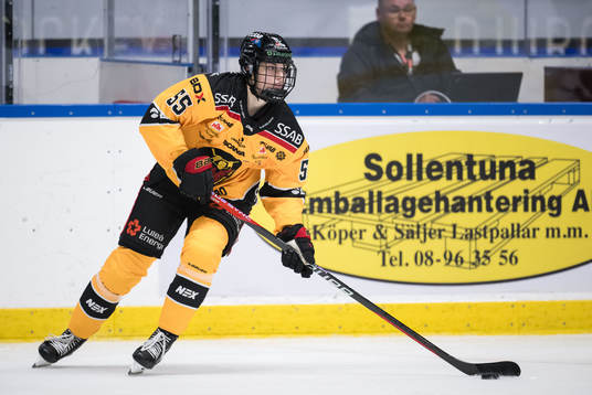 Luleås Daniela Pejsova