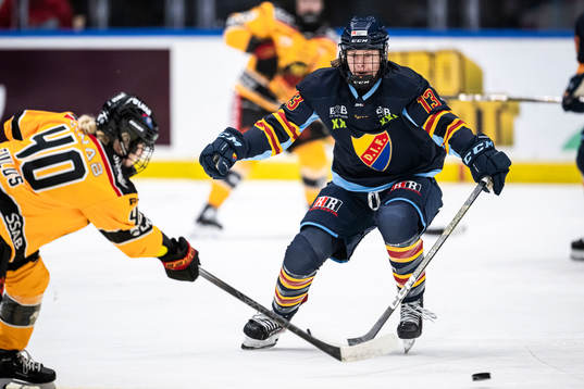 Djurgårdens Anneke Linser