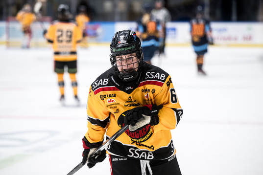 Under ishockeymatchen i SDHL mellan Djurgården och Luleå