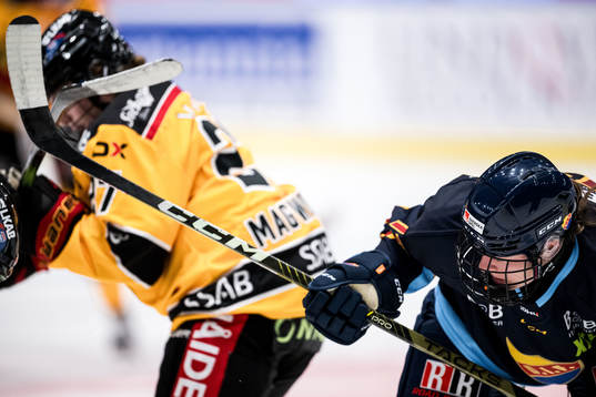 Djurgårdens Anneke Linser