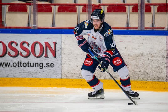 Halmstads Ludvig Wulff