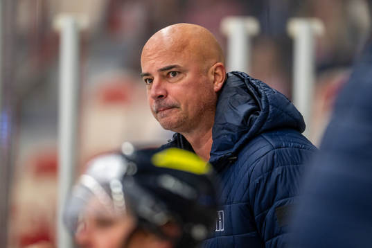 Halmstads assisterande tränare Peter Ström