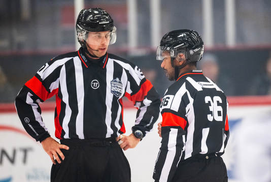 Domare Fredrik Rönnberg och Domare Johan Wedin