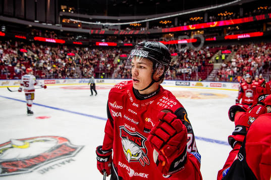 Malmö Redhawks Anton Wahlberg jublar