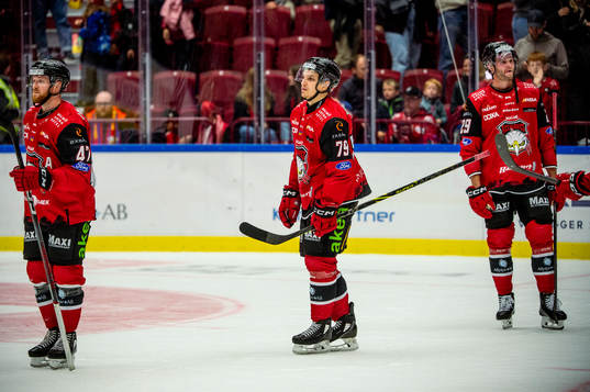Malmö Redhawks Jakub Galvas deppar med lagkamraterna