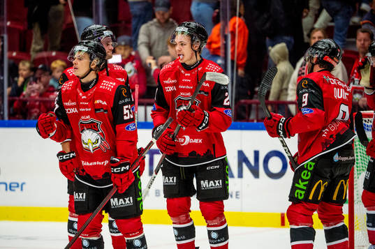 Malmö Redhawks spelare deppar