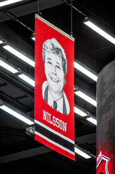 Percy Nillsons bild i taket på Malmö Arena