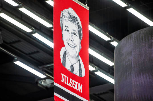 Percy Nillsons bild i taket på Malmö Arena