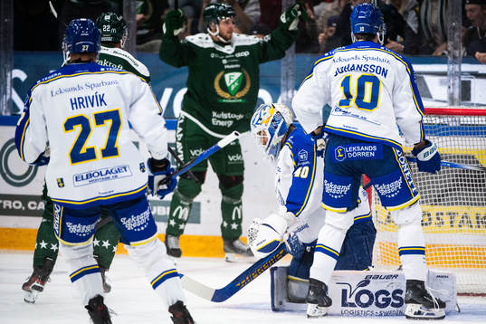 Leksands målvakt Mantas Armalis deppar