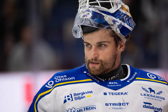 Leksands målvakt Mantas Armalis deppar