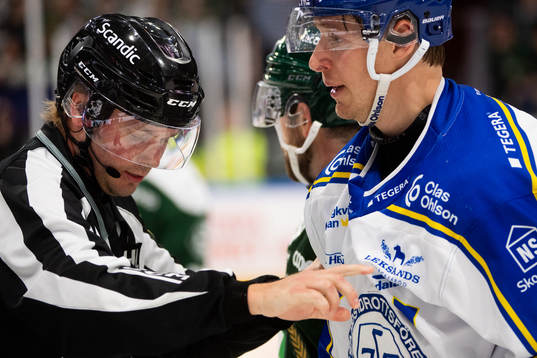 Domare Richard Magnusson och Leksands Carter Ashton