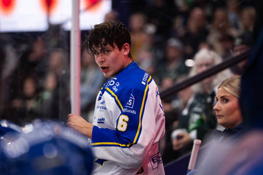 Leksands Alexander Lundqvist