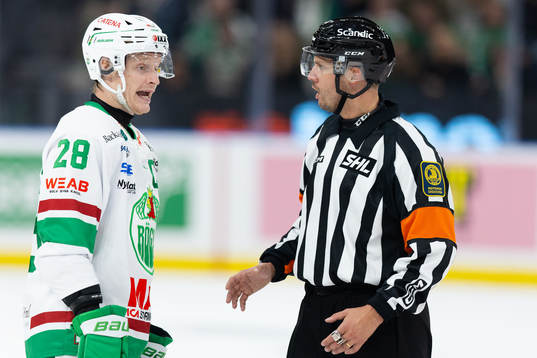 Rögles Anton Bengtsson och domare Johan Magnusson