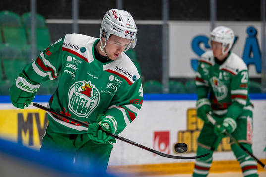 Rögles Oliver Casselsten